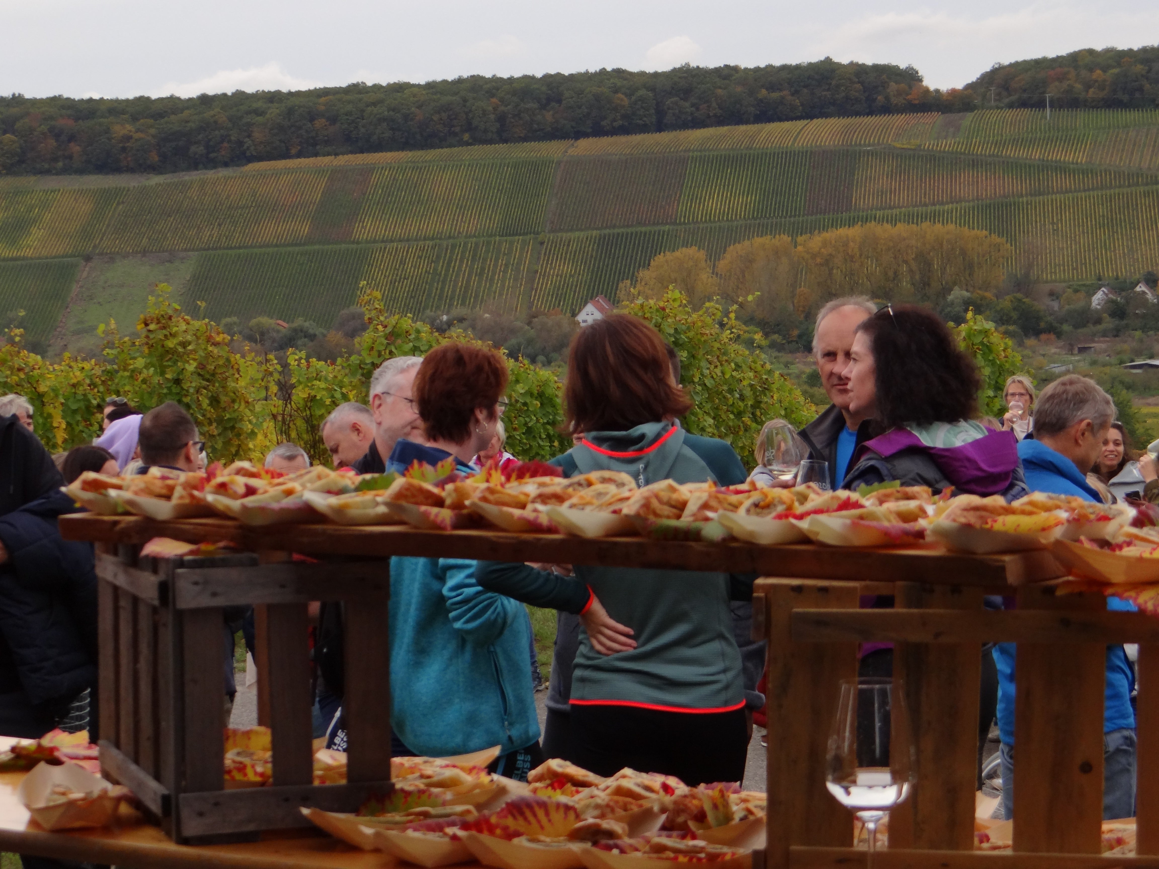 SCHLENDER..WEIN..PROBE 18.10.25