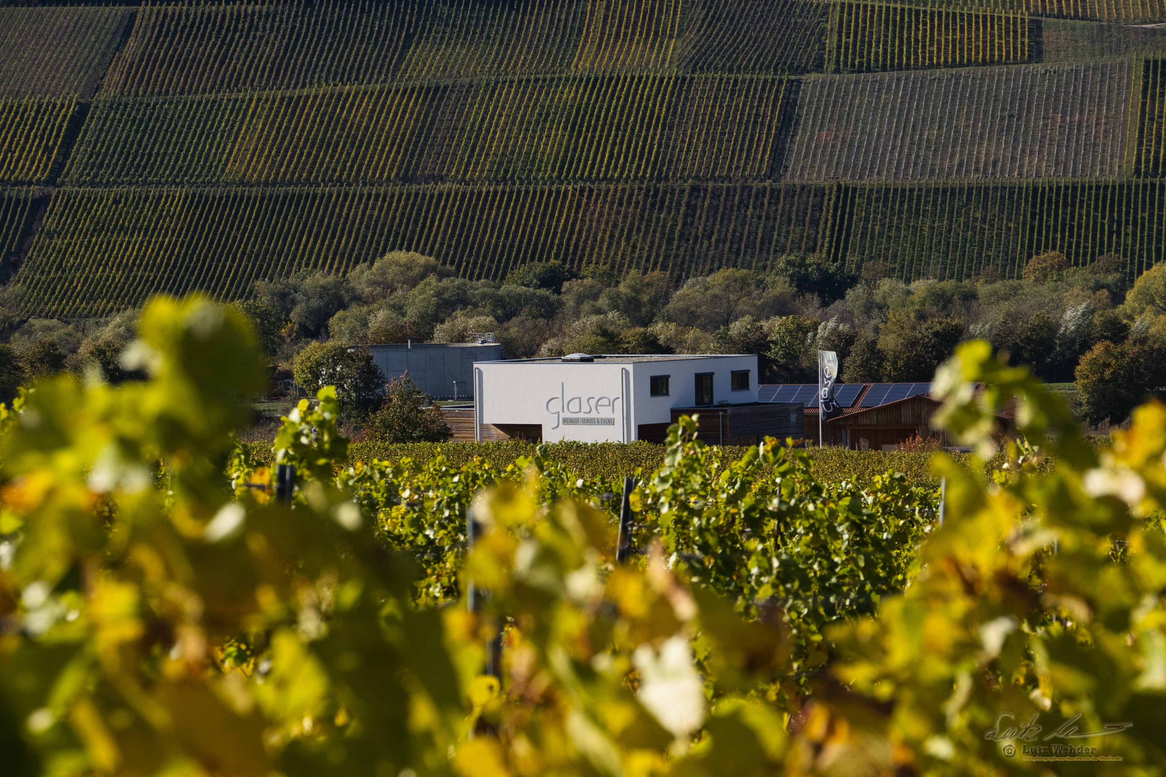 SCHLENDER..WEIN..PROBE 18.10.25