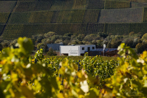 SCHLENDER..WEIN..PROBE 18.10.25