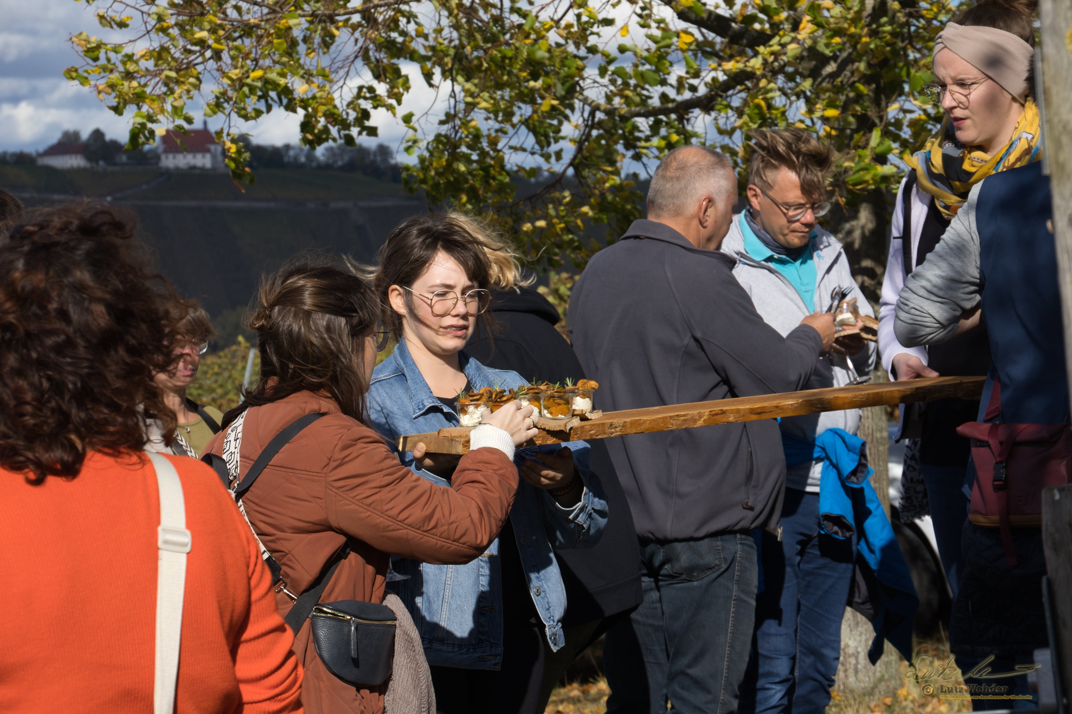 SCHLENDER.WEINPROBE durch die WEINBERG