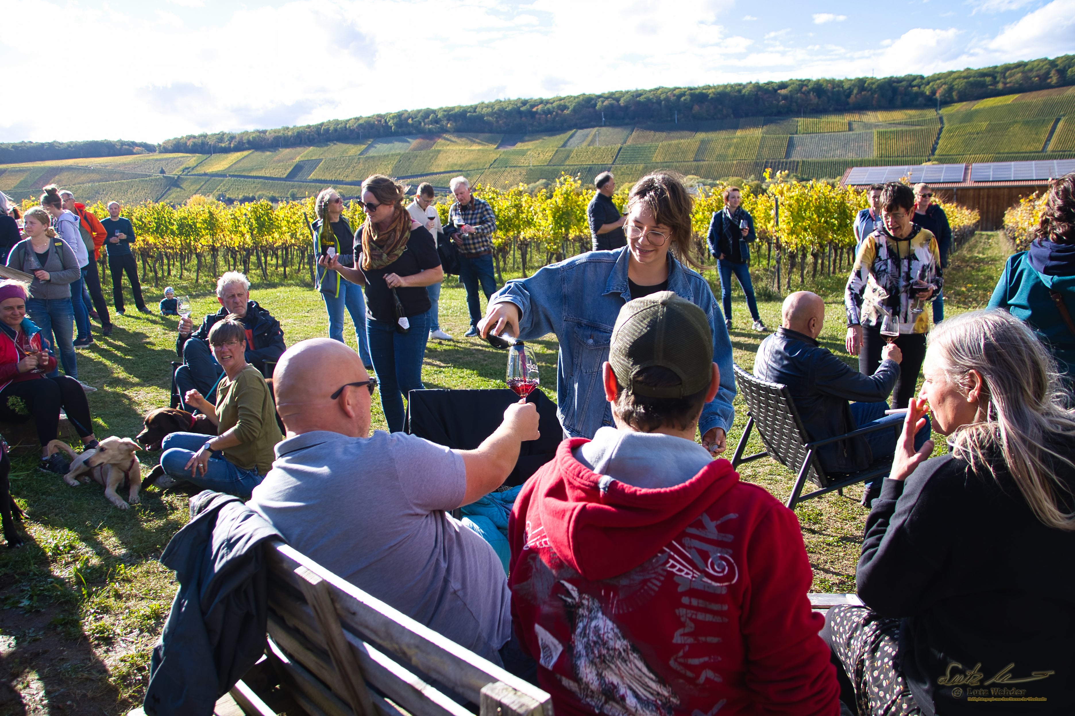 SCHLENDER.WEINPROBE durch die WEINBERG