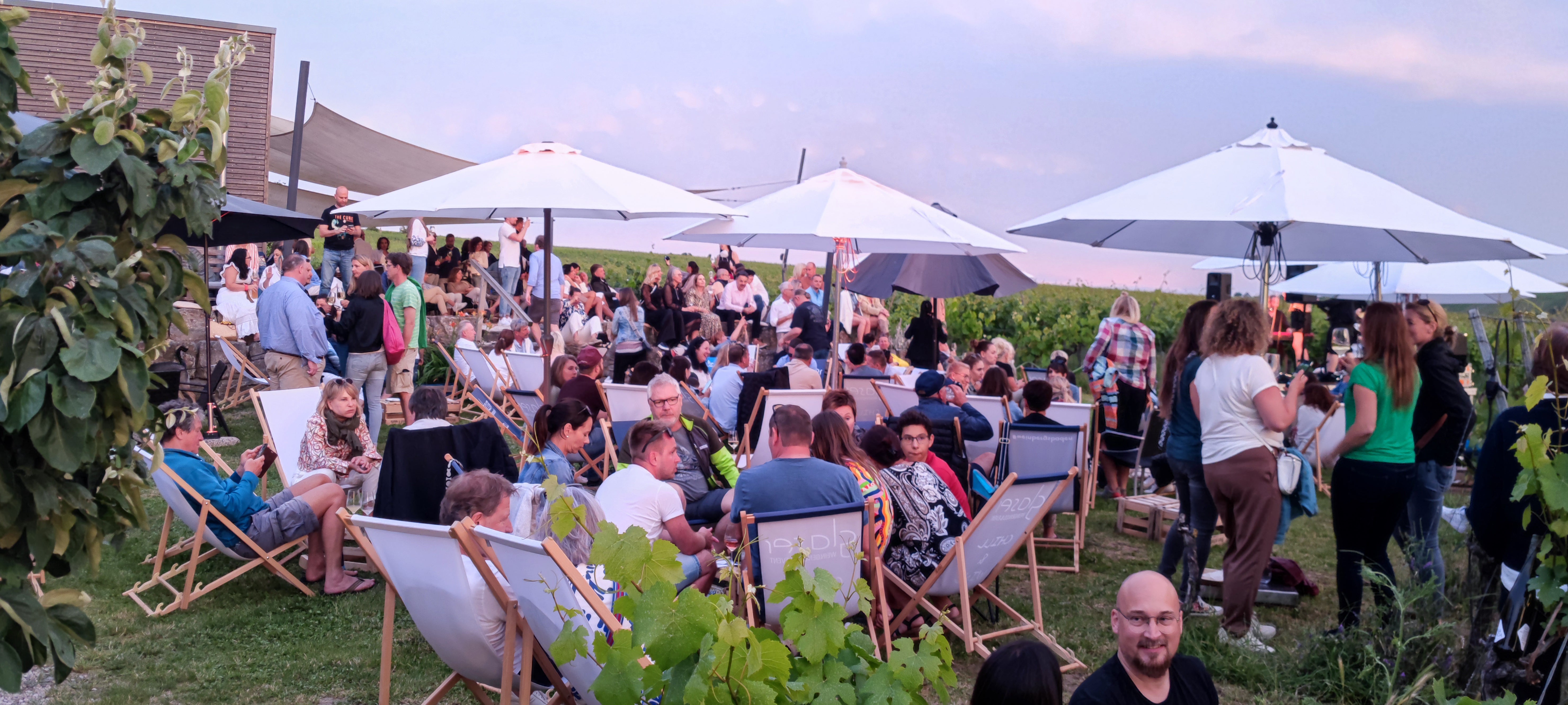 WINE-VIP-TASTING
