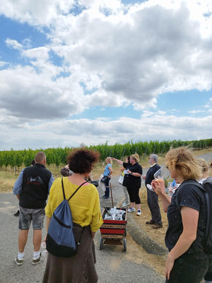 SCHLENDER.WEINPROBE durch die WEINBERG