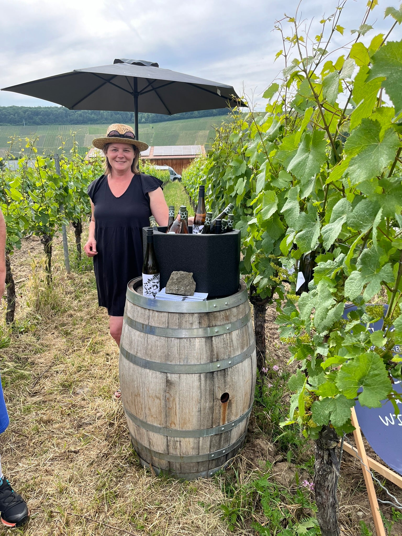 WINE-VIP-TASTING